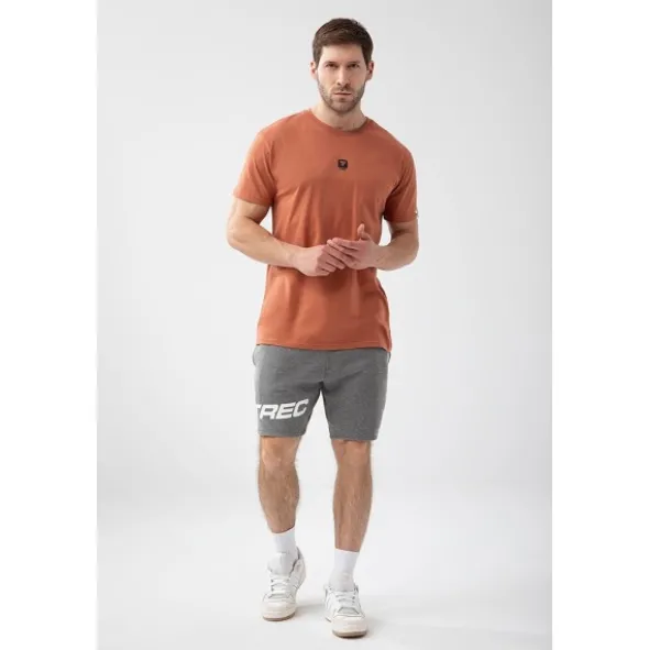 Brązowy T-shirt męski BASIC TSHIRT 150 T BROWN
