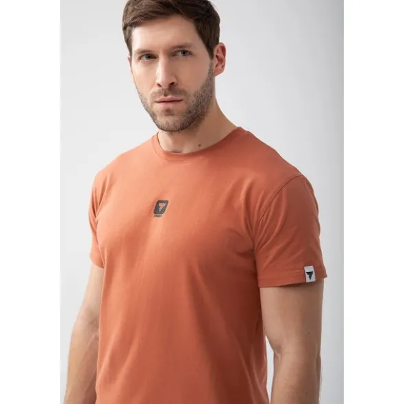 Brązowy T-shirt męski BASIC TSHIRT 150 T BROWN